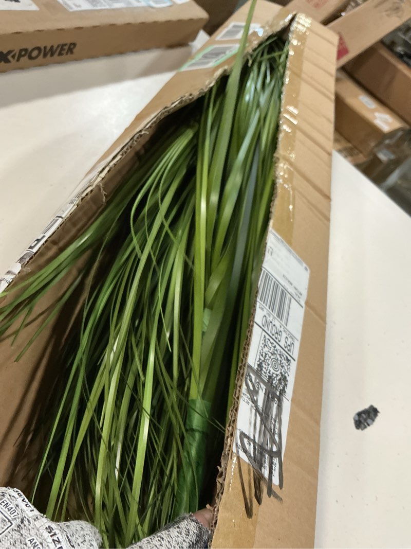 Condition photo showing Good Condition for vlorart 33" artificial plants 6 pack onion tall grass greenery, faux fake grass shrubs plant flowers wheat grass for house home indoor outdoor office room gardening indoor décor-green 6pcs green