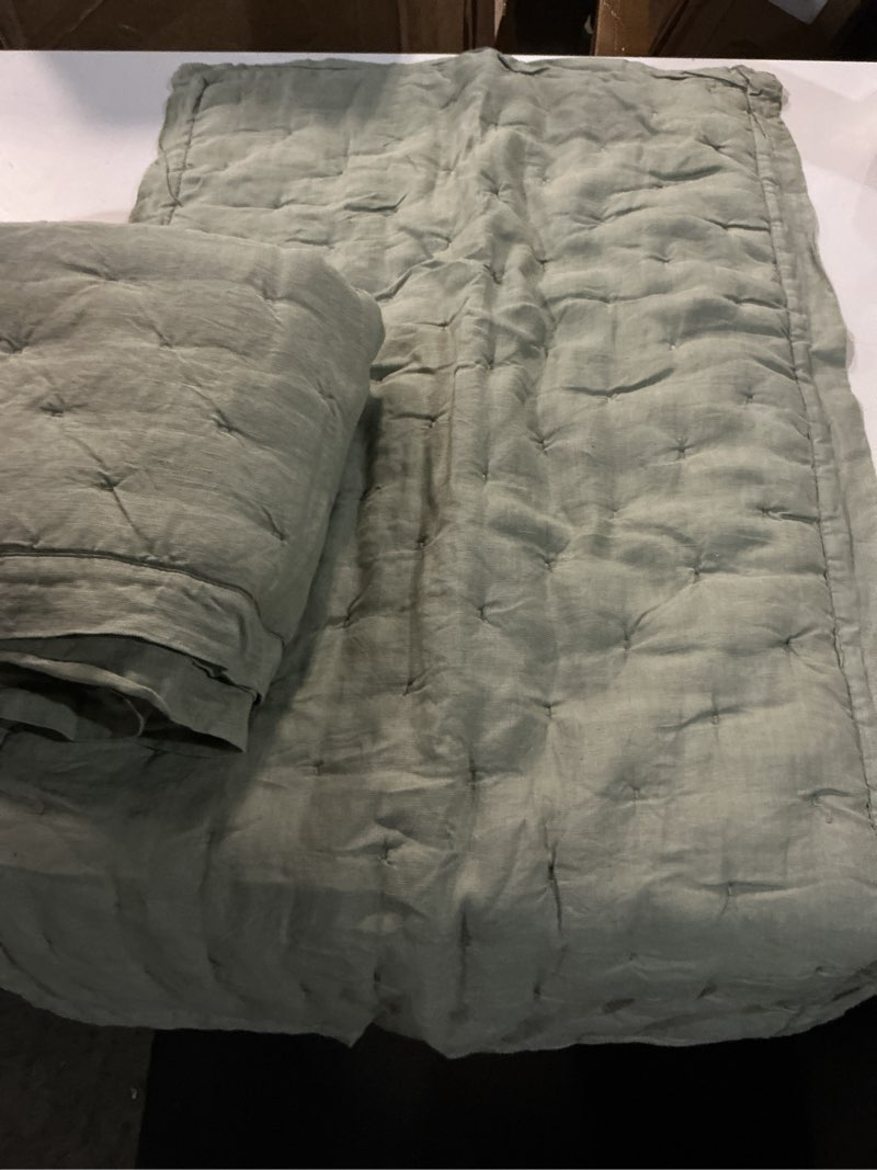 Condition photo showing Good Condition for european linen dream sham set, willowleaf (king) 