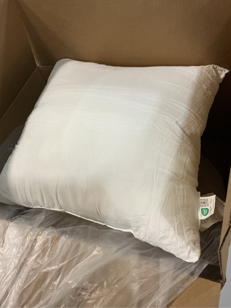 Condition photo showing As Is for EDOW Throw Pillow Inserts, Set of 2 Lightweight Down Alternative Polyester Pillow, Couch Cushion, Sham Stuffer, Machine Washable. (White, 18x18)