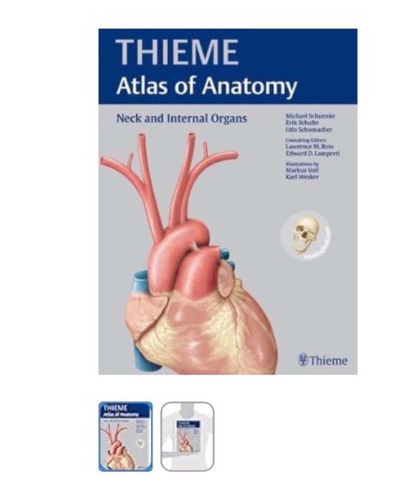 Neck and Internal Organs (THIEME Atlas of Anatomy)