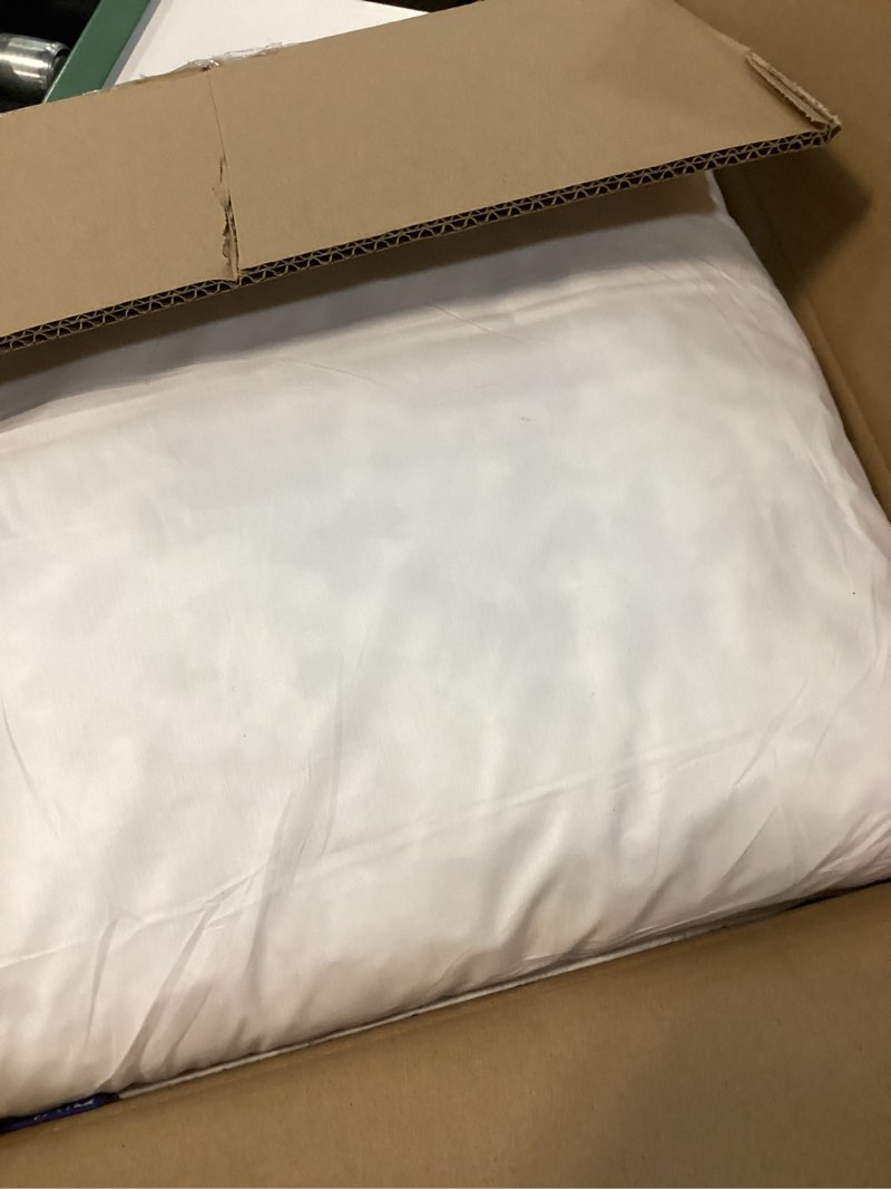 Condition photo showing Good Condition for miulee 20x20 pillow inserts, pack of 2 down feather premium throw pillows with cotton fabric for bed couch living room sofa 2 20x20 inch (pack of 2)