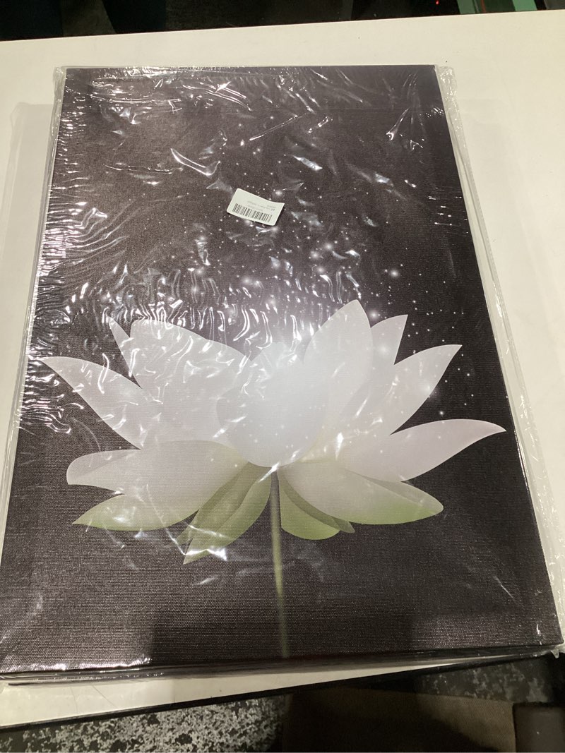 Condition photo showing New/Like New for Lotus Flower Canvas Prints Wall Art Floral Blossom Pictures for Modern Wall Decor Artwork Spirtual Meditation Prints on canvas Wall Decor for Yoga Room Framed (16x24inch) 16"L x 24"W Lotus 02