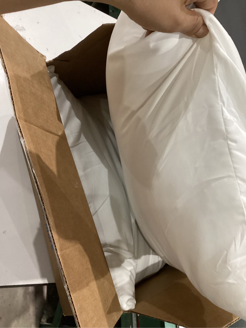 Condition photo showing Good Condition for 18x18 pillow inserts set of 2 , soft hypoallergenic down alternative throw pillow inserts 18 x 18 , throw pillows for couch, sofa pillow filling stuffing for decorative covers, pillow forms 18x18 18x18 inches/45x45 cms