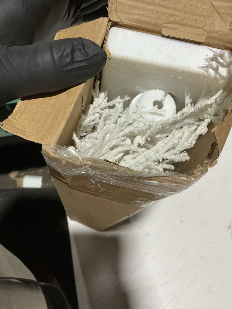 Condition photo showing As Is for 2 Pack Flocked Lights Christmas Tree Tabletop Decoration 24 Inch Artificial Small White Christmas Snow Birch Tree Frost Battery Powered/USB Table Centerpiece for Indoor Mantel Holiday Decor