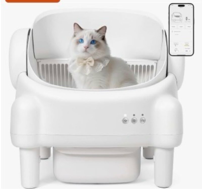 Sunday Brings Saving You Want!