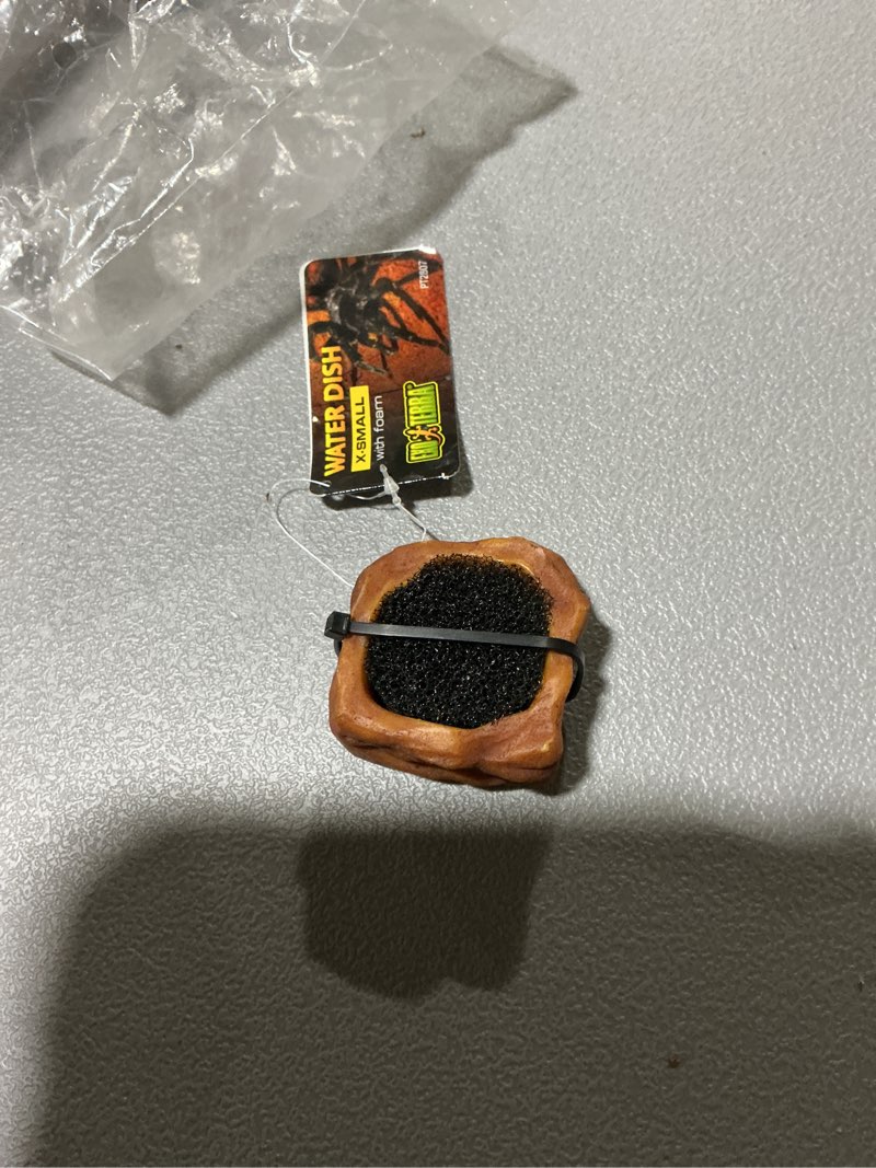 Condition photo showing Good Condition for Exo Terra Invertebrate Water Dish w/Foam 2