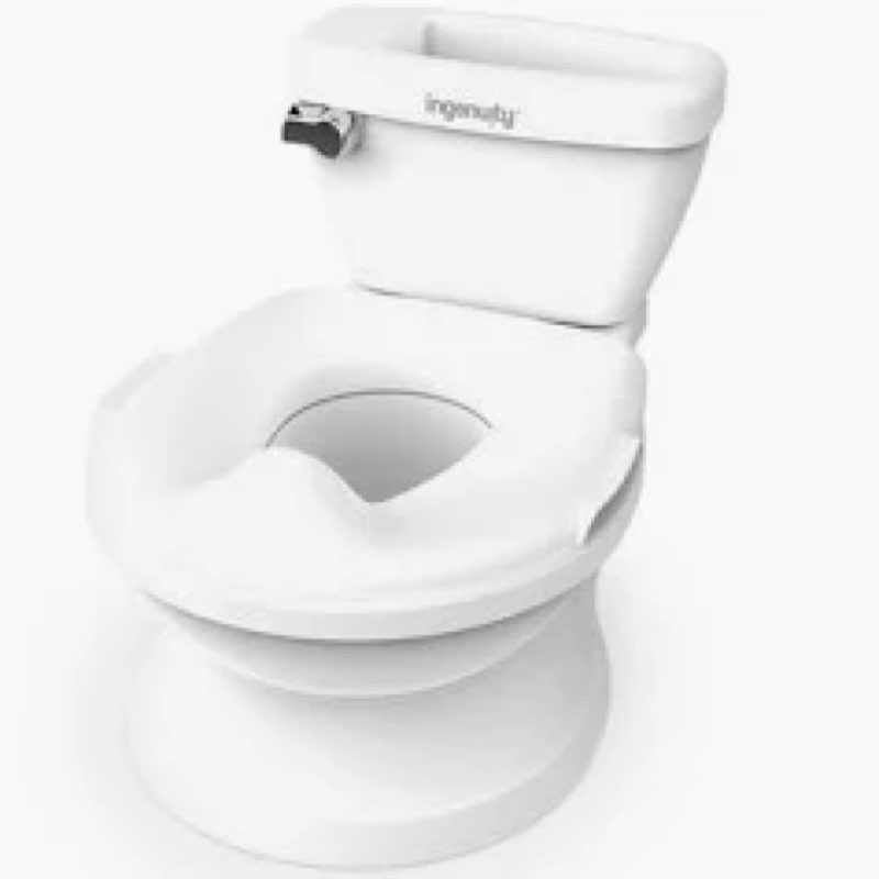Summer by Ingenuity My Size Pro Potty Toddler Chair