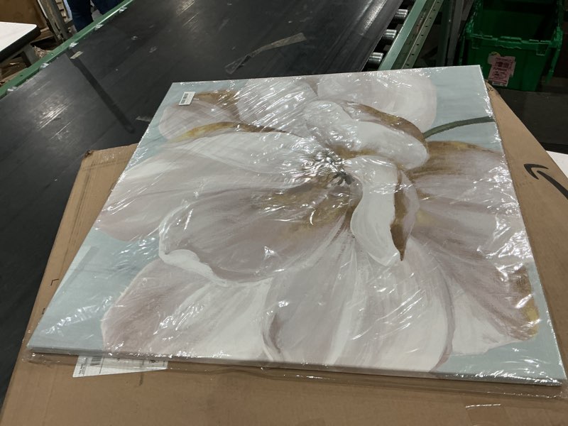 Condition photo showing New/Like New for seven wall arts white magnolia flower canvas wall art floral pictures decor vintage nature botanical painting modern large size farmhouse artwork for bedroom living room office 32"x 32"