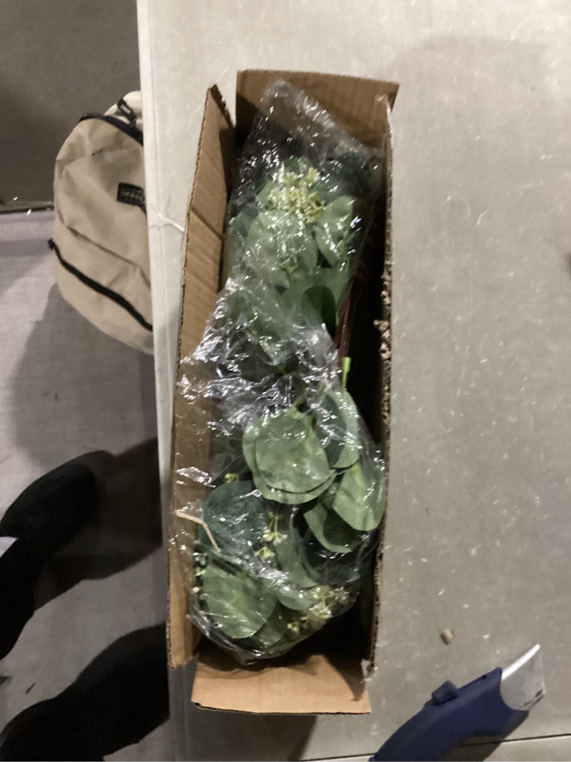 Condition photo showing New/Like New for 40 Pcs Artificial Greenery Eucalyptus Stem Silver Dollar Leaves Baby Eucalyptus Leaves Suitable for Family Wedding Vase Centerpieces Bouquet Flower Arrangement