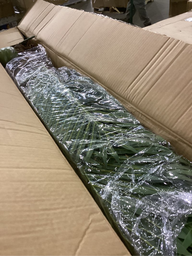 Condition photo showing New/Like New for 7.2FT Artificial Phoenix Palm Tree with Coconut Fruit Outdoor Indoor Decor Large Faux Coconut Silk Palm Tree Tropical Fake Tree Large Faux Sago Palm Plant for Home Yard Outside Patio Poolside 7.2FT Palm Tree