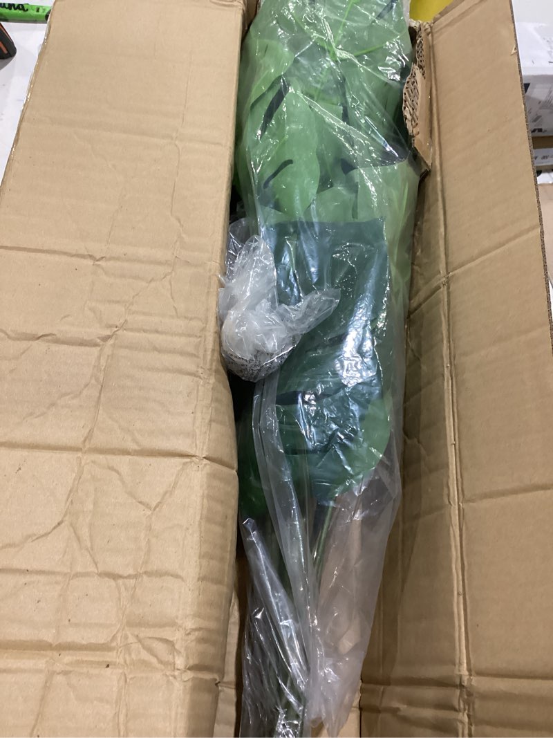 Condition photo showing Good Condition for blaine plant unknown 