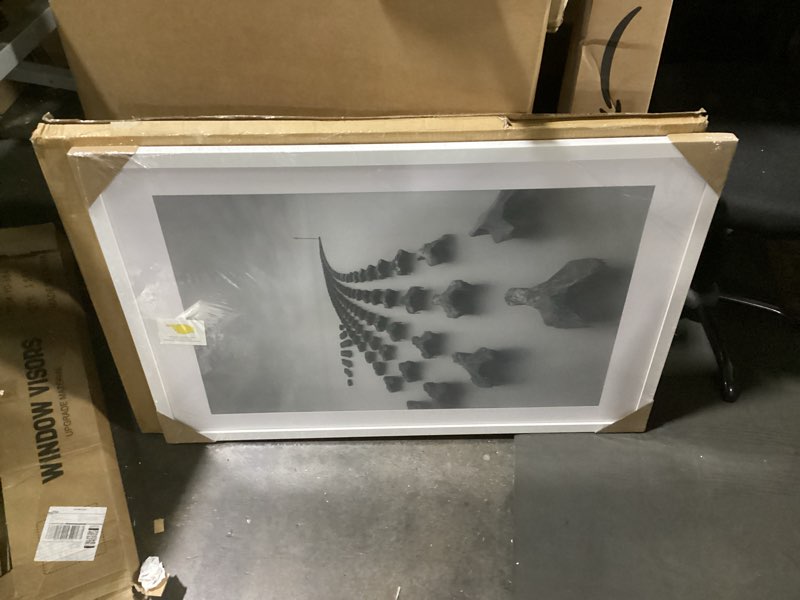 Condition photo showing New/Like New for doai art 24x36 poster frame white without mat for displaying 20x30 pictures with mat - polished plexiglass for wall vertically or horizontally display - wall mounting hardware included white 24x36-1 pack