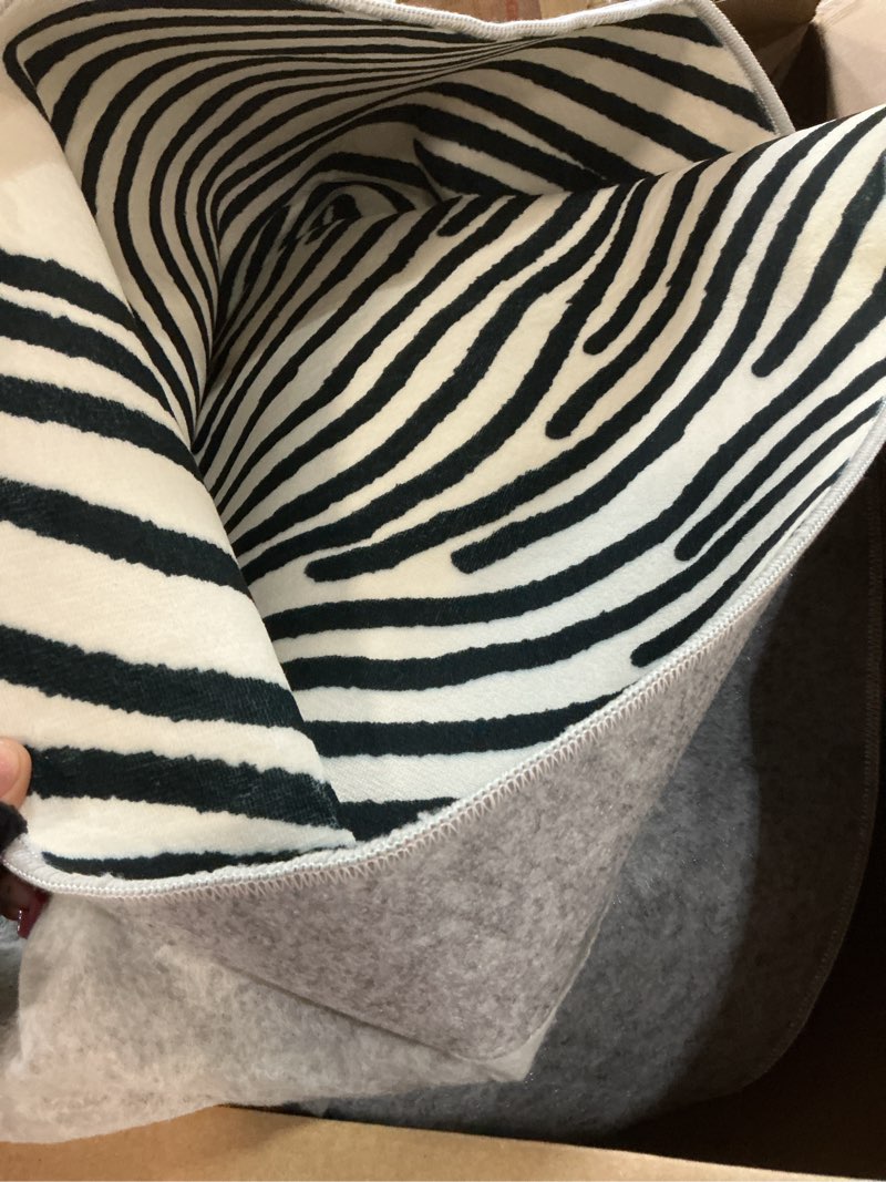 Condition photo showing Good Condition for yihouse 5×7ft area rugs, abstract washable rug, modern black and white rug for bedroom living room dining room office playroom nursery, nonslip throw non-shedding thin contemporary striped rugs modern lines beige 5' x 7' (rectangular)