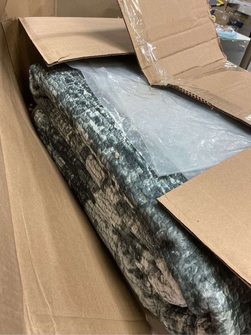 Condition photo showing As Is for ( SIMILAR PHOTO) AMADA HOMEFURNISHING 8x10 Area Rug, Washable Low-Profile Large Area Rug with Non-Slip Backing & Durable Edge Binding, Vintage Large Rugs for Living Room, Bedroom 8' x 10' (Rectangular) Dark/Green