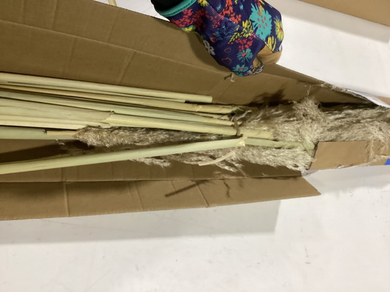 Condition photo showing As Is for 46" inch 11 Stems Natural Pampas Grass Tall Decor,Pompas Grass,Large Borwn Tall Pampas Grass for Floor Vase,Wedding Decorations,Party,Boho Home Decor,and Creating a Boho Ambiance 46inch-11pcs Brown