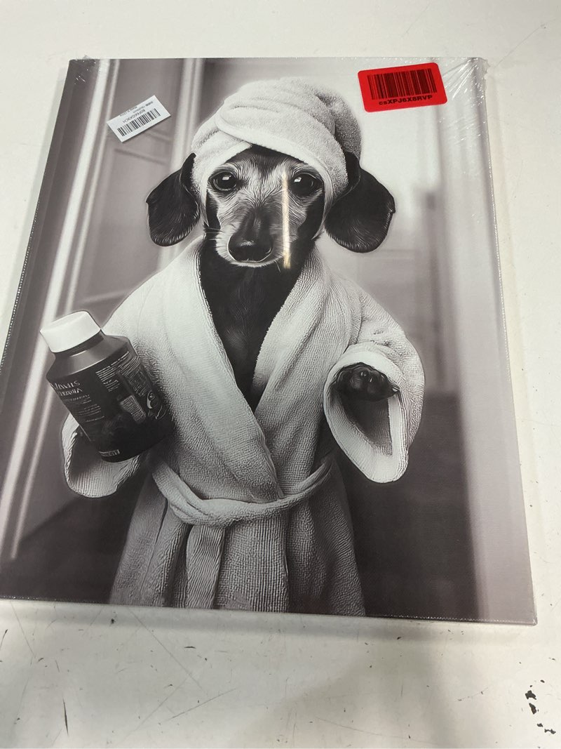 Condition photo showing New/Like New for crekviy funny dachshund bathroom decor wall art black and white dog pictures cute weiner dog bathrobe bathing canvas prints painting artwork home decorations framed gifts 16"x20" dog 20l"×16w"