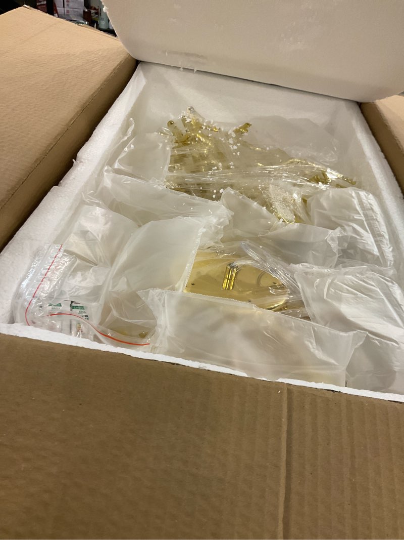 Aeyee contemporary ceiling lamp