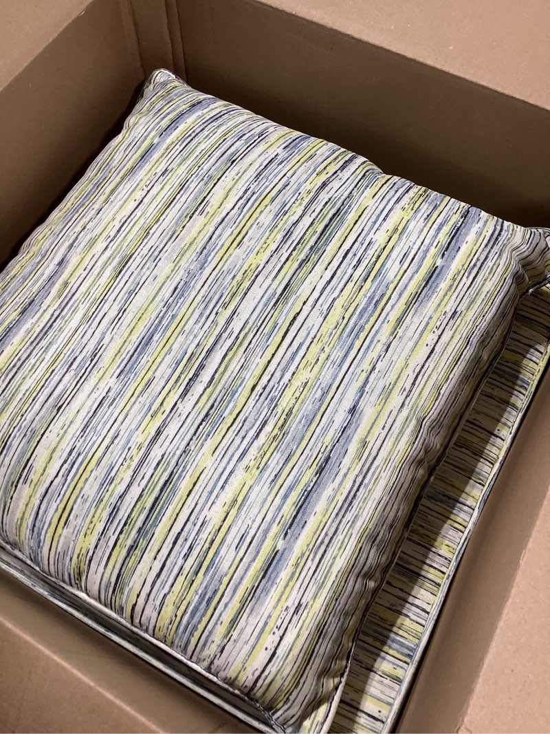 Condition photo showing Good Condition for patio cushionand pillow