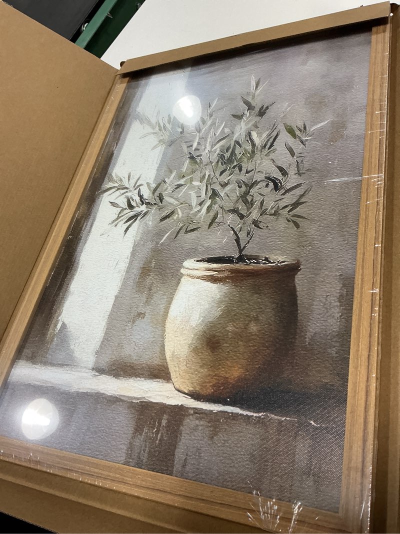 Condition photo showing New/Like New for avecco framed vintage olive botanical tree canvas wall art, rustic farmhouse wall decor, unique plant art prints for bathroom bedroom living room office home kitchen decoration ready to hang 16x24 in 24"l x 16"w tree