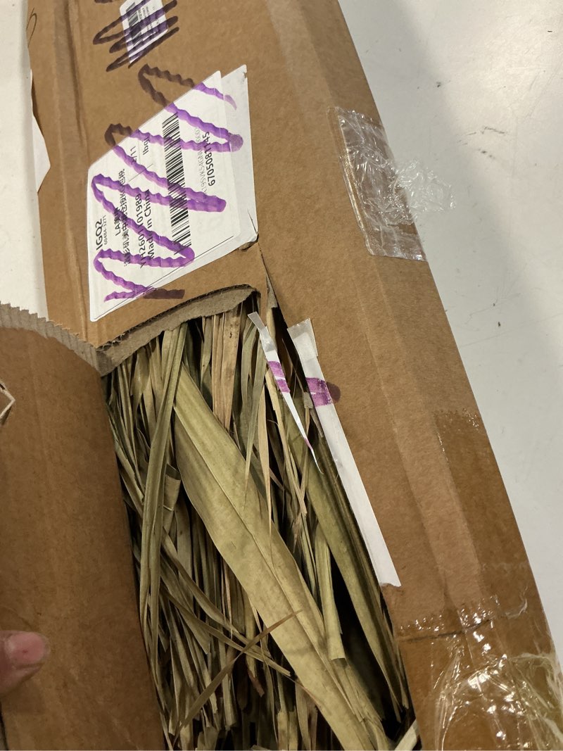 Condition photo showing Good Condition for layhit 3 pcs 4.3ft jumbo natural dried palm leaves tall boho home decor tropical dried palm leaves rustic wedding centerpieces for home wedding farmhouse party anniversary boho decor