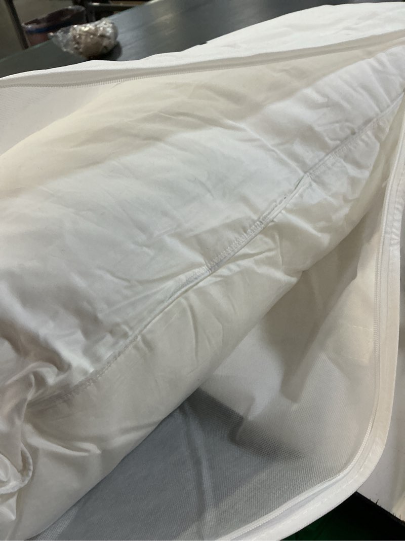 Condition photo showing As Is for luxe goose down pillow (size king)