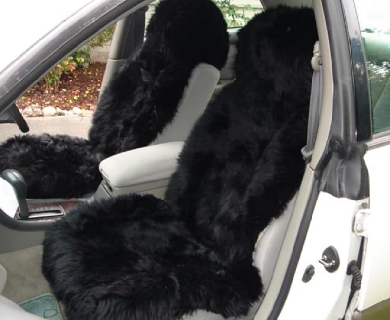 Night Time Specials Made Just For You!