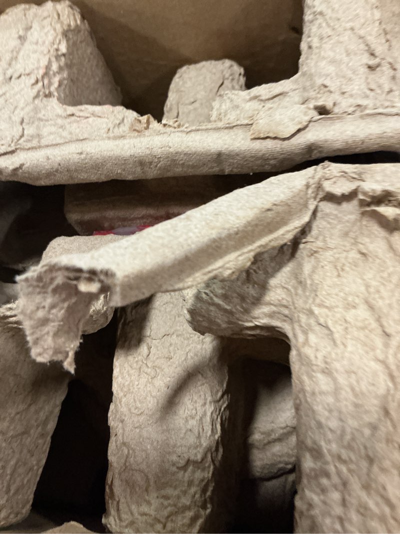 Condition photo showing Good Condition for Thayer 14" Tall Outdoor Wall Sconce