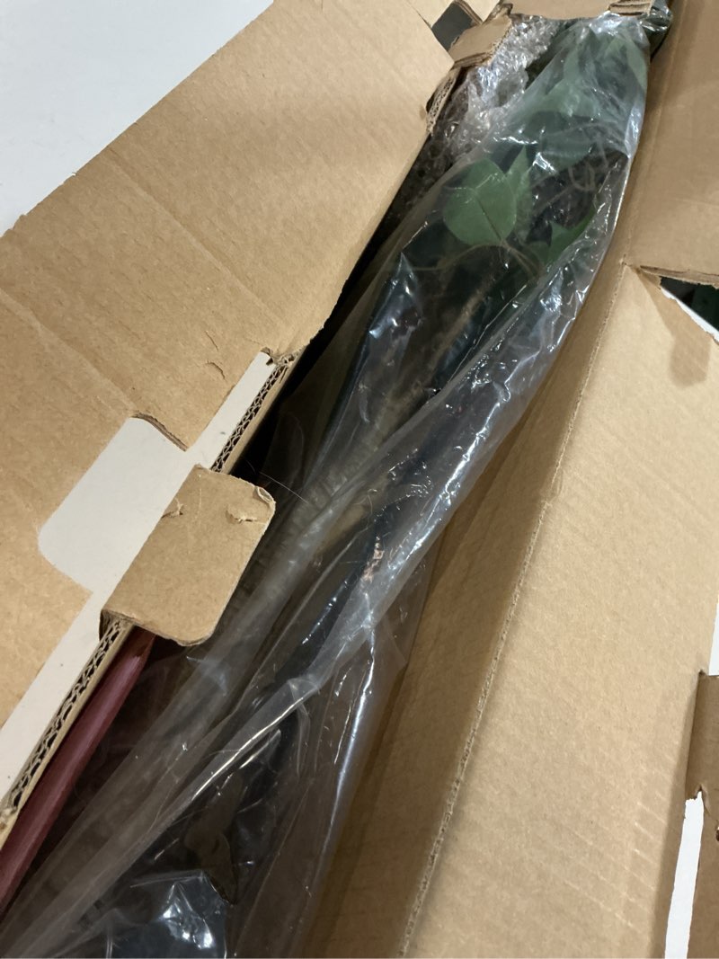 Condition photo showing Good Condition for Hairui Artificial Ficus Silk Tree Lights 4FT 140LED Fairy Lights, Faux Plant Tree with Lights for Home Room Spring Summer Decoration Inside 4FT Ficus Silk Tree