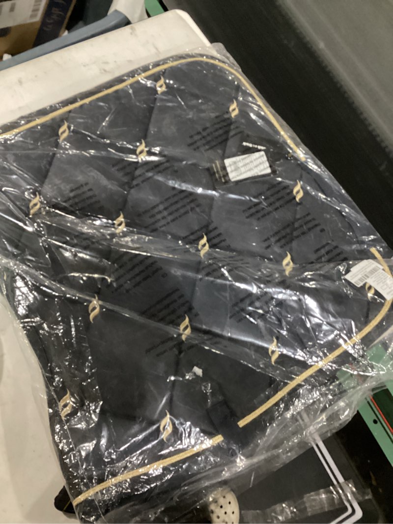 Back on Track Nights Collection Dressage Pad Full