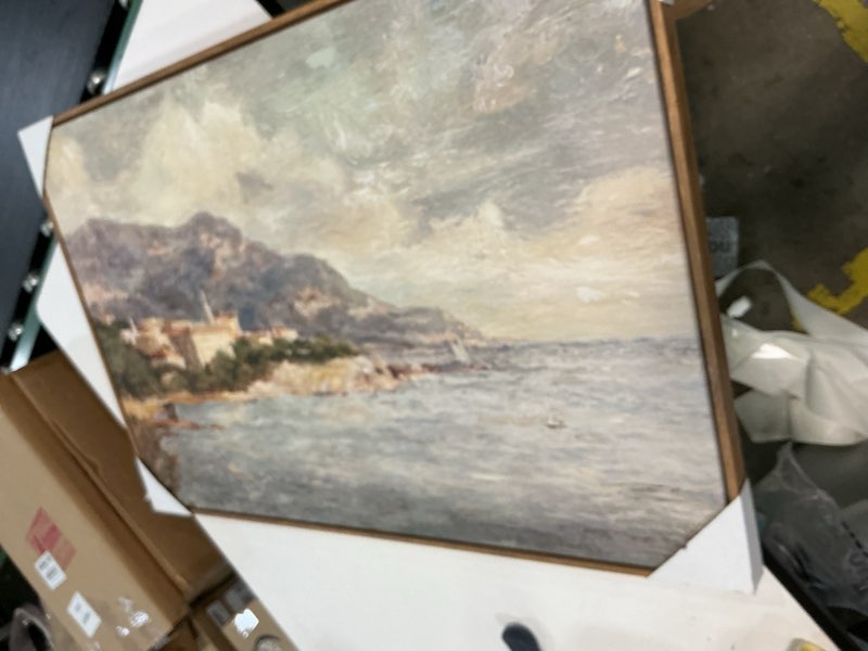 Condition photo showing Good Condition for 36"x24" coastal landscape wall art - threshold™ designed with studio mcgee