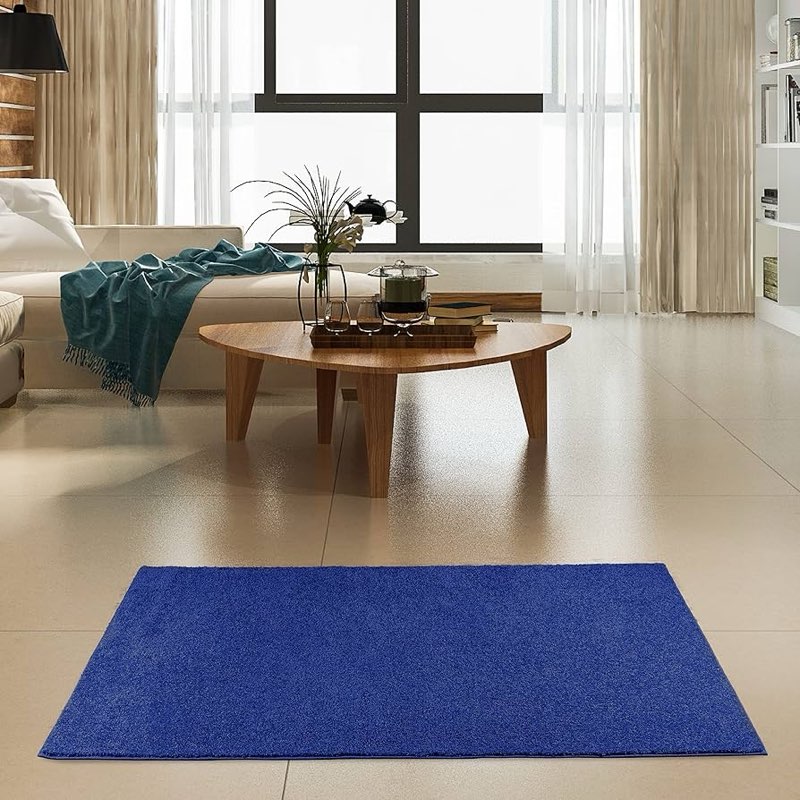 Furnish my place modern plush solid color rug neon blue 10x20