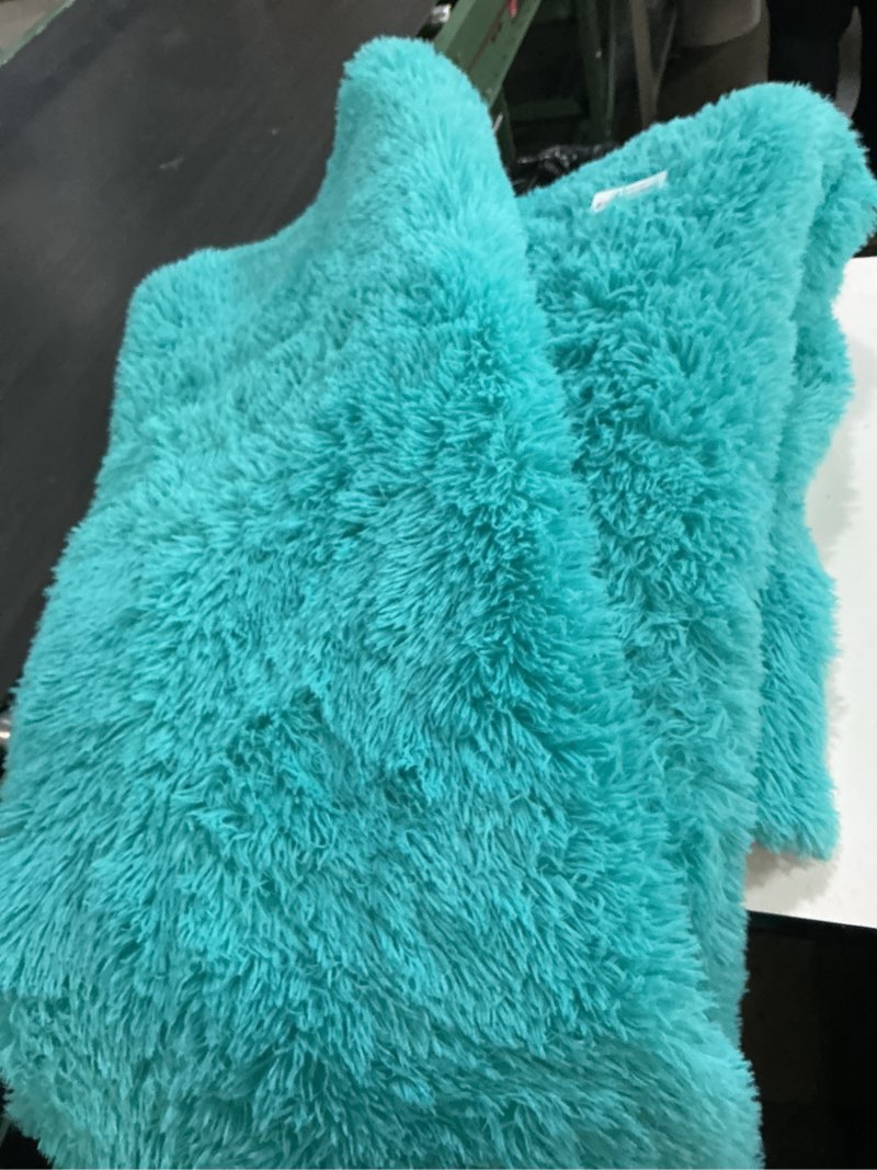 Condition photo showing As Is for rezutan soft fluffy rug for living room bedroom,comfy modern large shaggy fuzzy for kids rug, plush indoor nursery classroom home decor bedside with non-slip bottom, teal blue, 8 x 10 feet teal blue 8' x 10' (rectangular)
