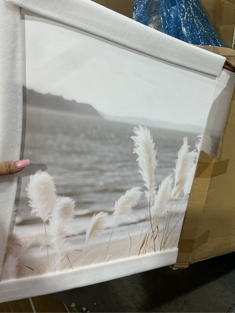 Condition photo showing Good Condition for framed wall art artwork decor nature canvas painting reedseascape wall decor for bedroom living room decoration home kitchen office 24" x 48"