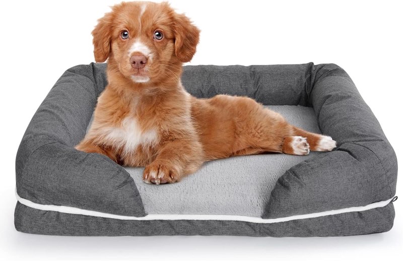 Solid Memory Foam Dog Bed | Small Medium Large X-Large Orthopedic | Washable Cover | Waterproof Liner | Cats and Dogs | Pet Couch/Sofa | Medium Firm Bolster (Small) similar 