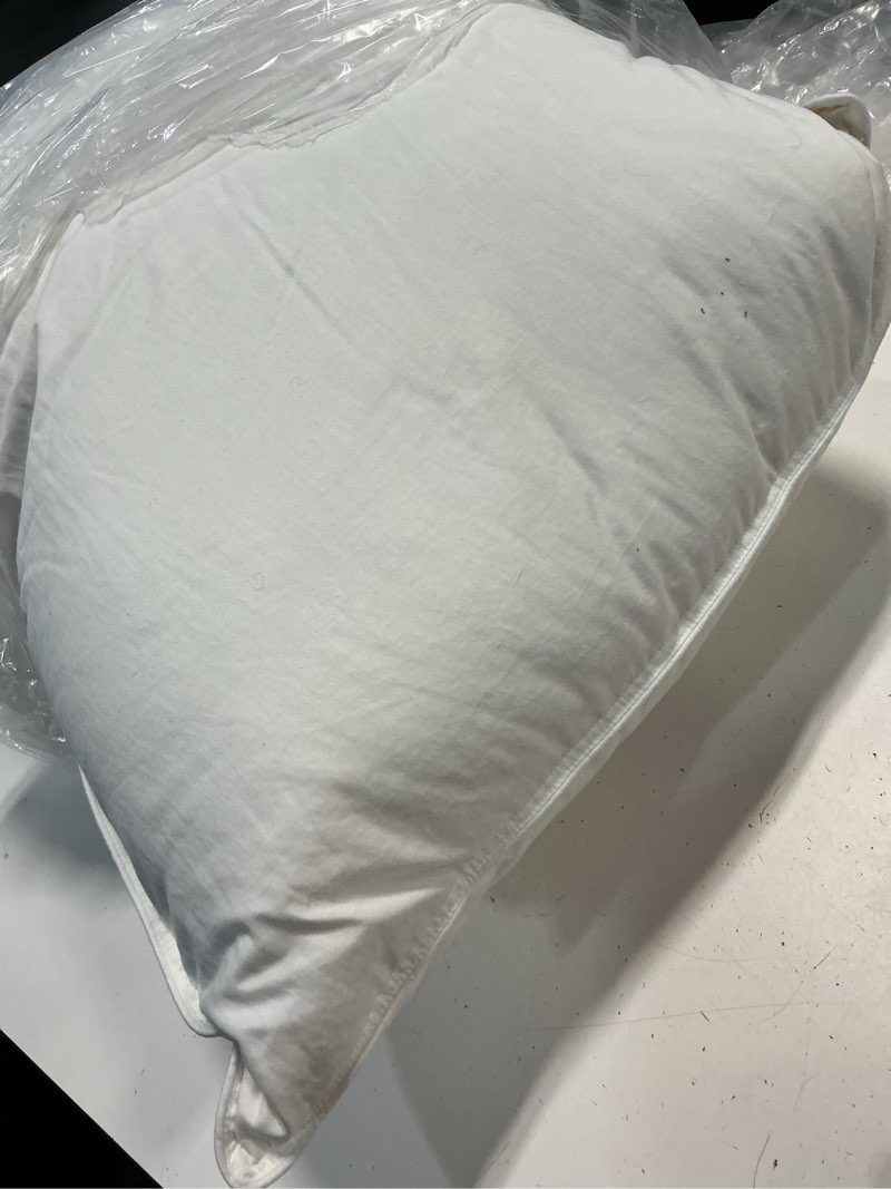 Condition photo showing As Is for premium down pillow, standard, firm