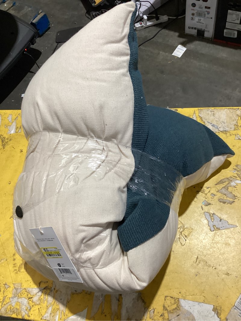 Condition photo showing Good Condition for horizon lumbar pillow parchment & cove - parachute for target