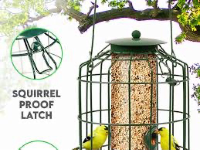 Garden Mile Bird Feeder Squirrel Proof Ideal for Wild Bird Feeder Seeds Nuts or Fat Balls Outdoor Garden Squirrel (Seed Feeder)