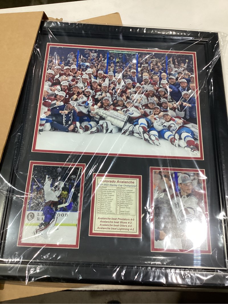 Legends Never Die, Inc. Colorado Avalanche | 2021-2022 Stanley Cup Champions | 18"x22" Framed Photo 