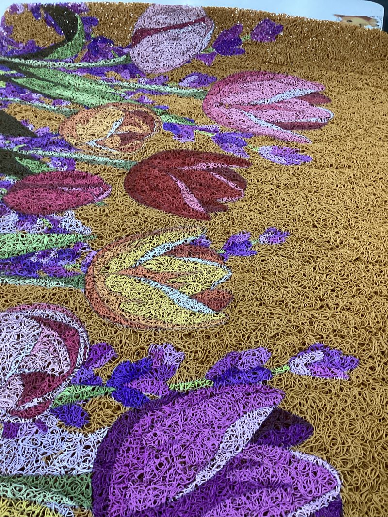 Condition photo showing Good Condition for Hello Spring Door Mat Natural Spring Welcome Door Mat Tulip Lavender Doormat Front Door Rug Outdoor Entrance for Home Indoor Holiday Decoration 18 x 30 Inch