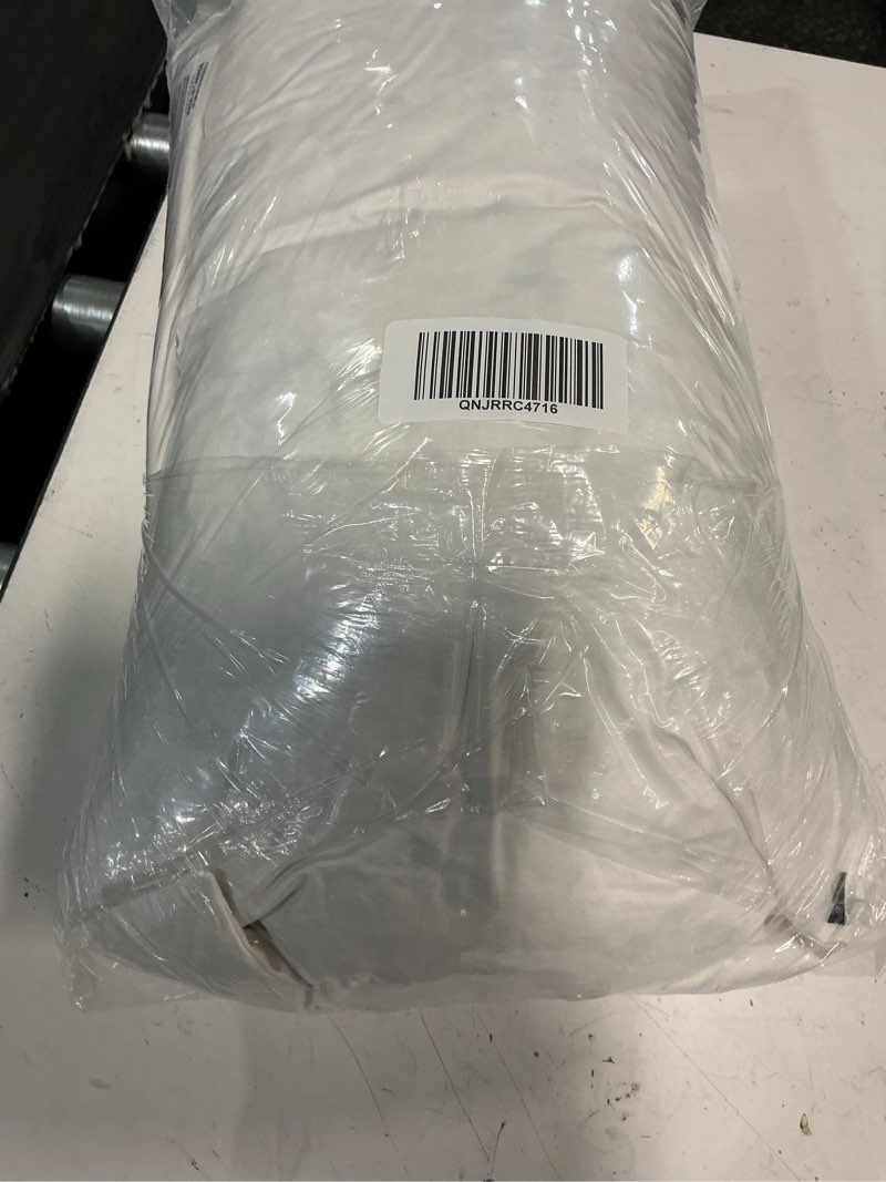 Condition photo showing Good Condition for premium feather pillow insert (set of 2), 22x22, no color