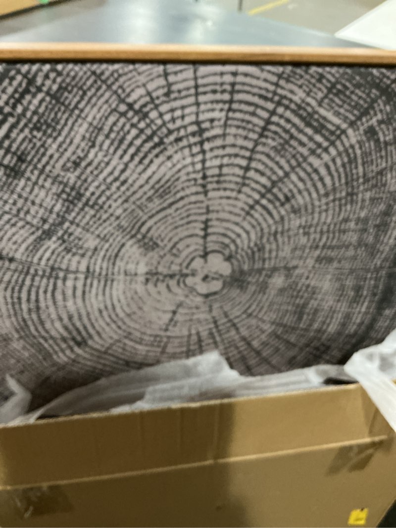 Condition photo showing As Is for HOURIA Neutral Brown Tree Rings Framed Canvas Wall Art Set,Modern Beige Tan Wood Stump Wall Decor,Vintage Abstract Tree Spiral Art Print,Nature Black Artwork for Living Room,Bedroom,Office- 24"x36"x3 Tree Rings Wall Art 24"L x 36"W