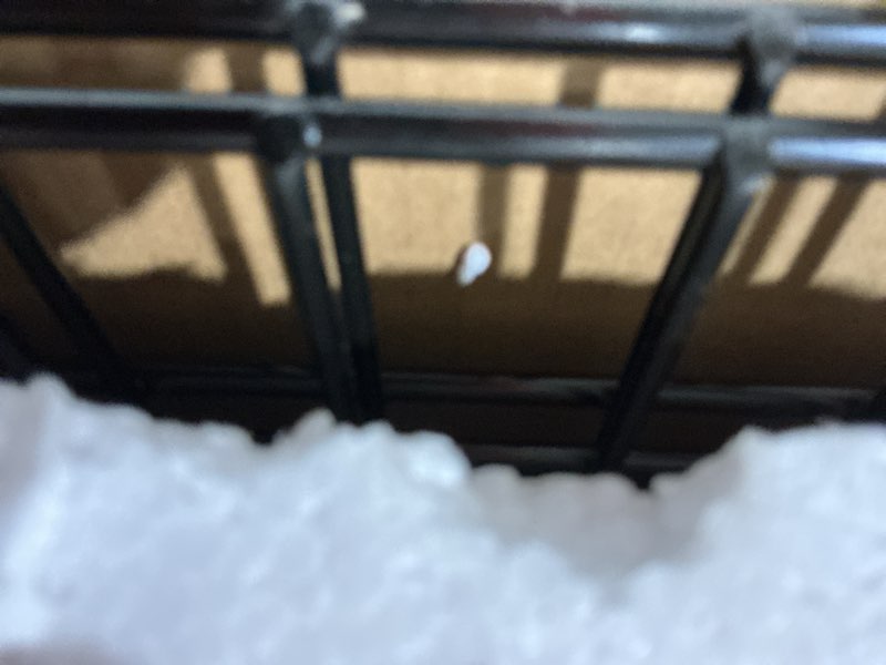 Condition photo showing Good Condition for MidWest Homes for Pets Solutions Series XXL Double Door 54-Inch Dog Crate for the Largest Breeds, Sturdy Drop Pin Assembly, Black E-Coated, SL54DD 54.0"L x 37.0"W x 45.0"H Double Door