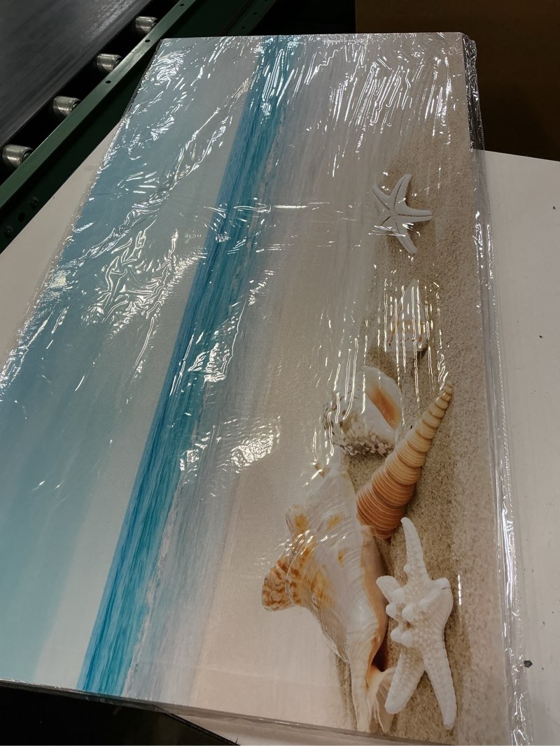 Condition photo showing New/Like New for dzl art s73950 beach picture decor ocean painting canvas wall art prints of starfish and seashell on sandy seaside ready to hang for living room bedroom office wall decor home decoration 40"l x 20"w seashell seaside