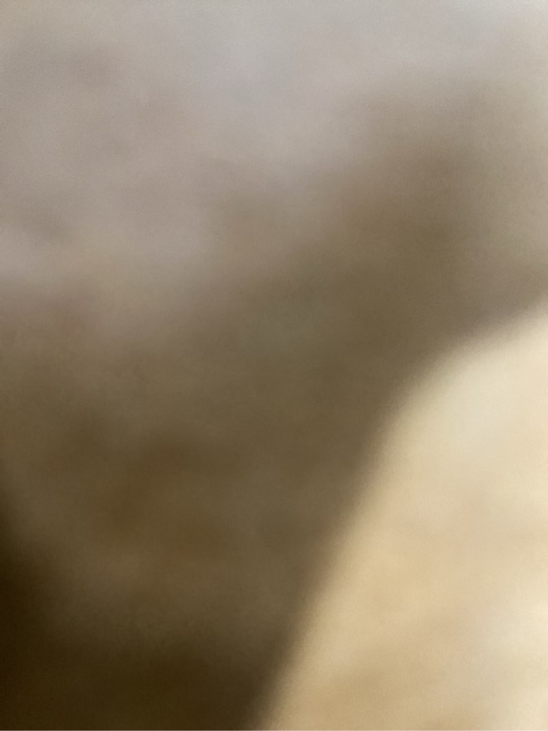 https://lotting-media.assets.bidfta.com/lotting_73d1c5b0-3394-489b-aec0-623b01a4de89
