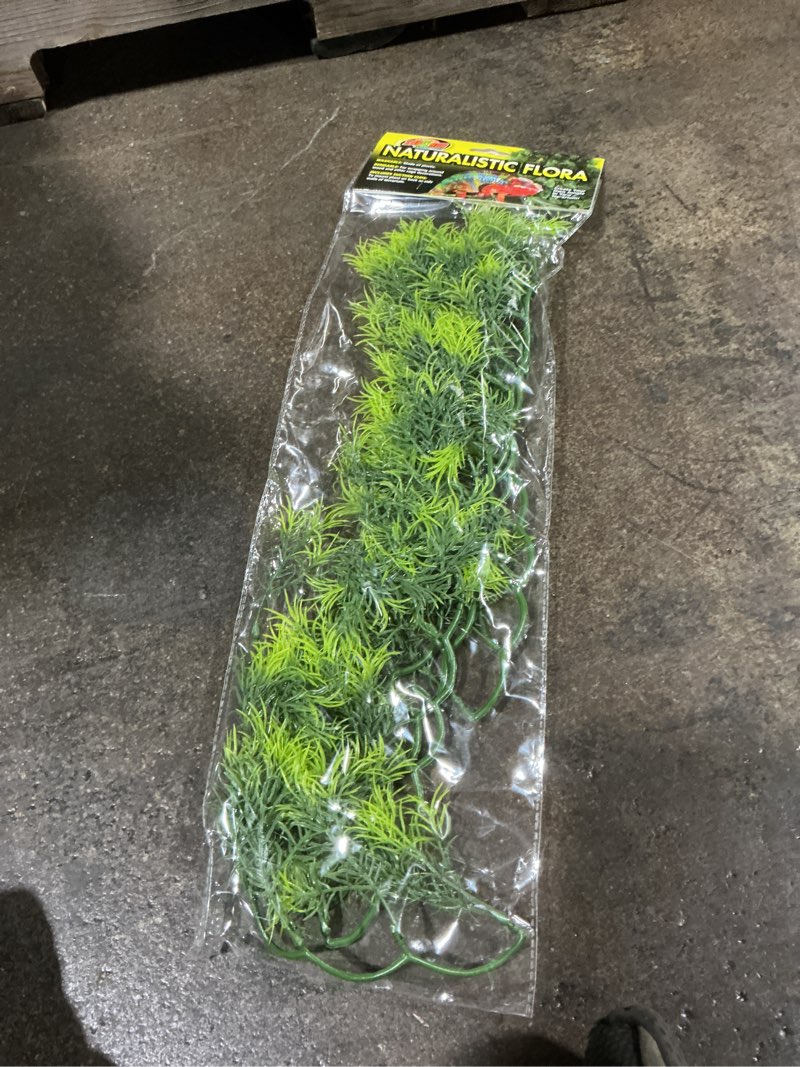 Condition photo showing New/Like New for (Similar to stock photo) Zoo Med Laboratories SZMBU20 Natural Bushy Mexican Phyllo, Medium 18 Inch