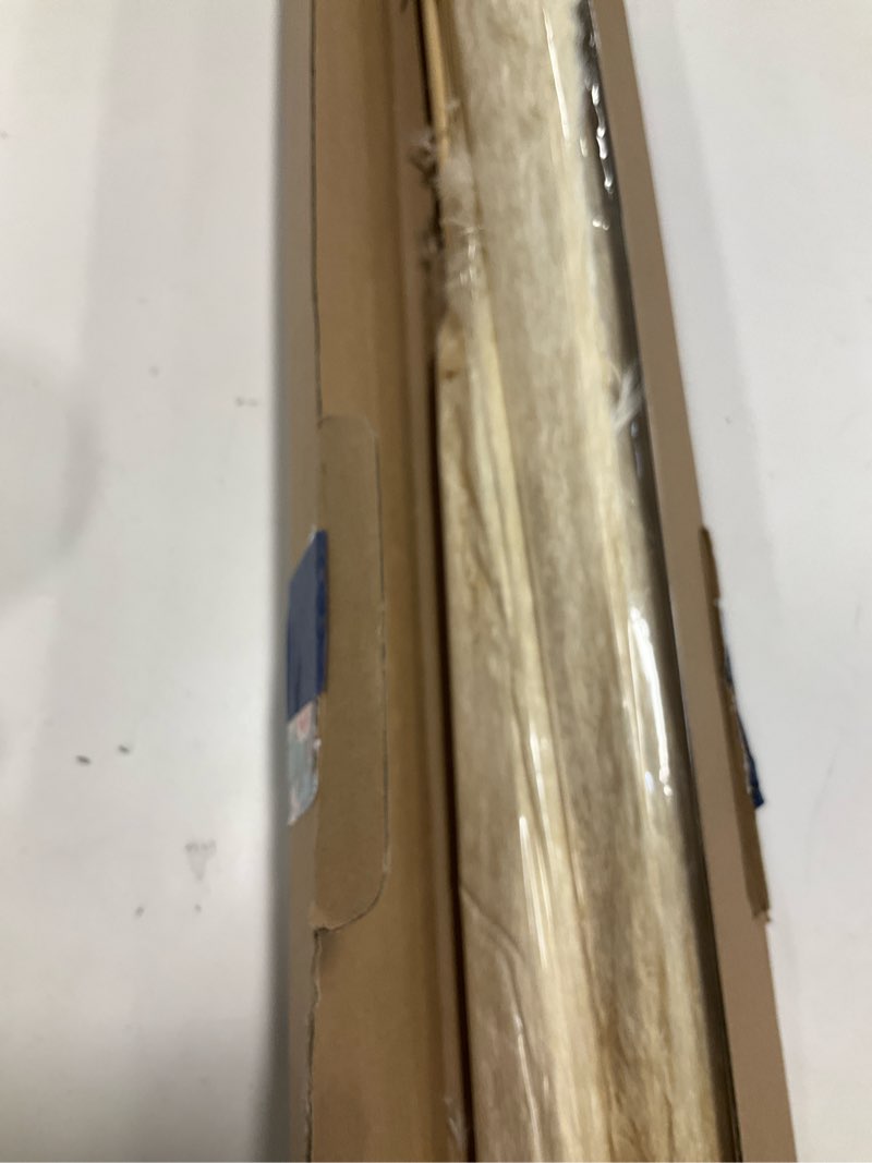 https://lotting-media.assets.bidfta.com/lotting_73e47d44-4f3a-4b52-a210-195f666268be