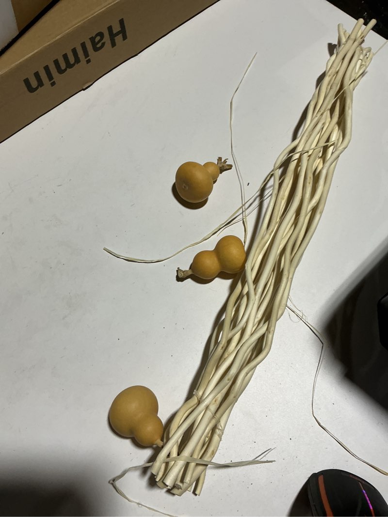 Condition photo showing Good Condition for 21-23 inch dried natural curly willow branch 15 pcs decorative twisted white sticks, 3 pieces mini real gourds for home decor thick