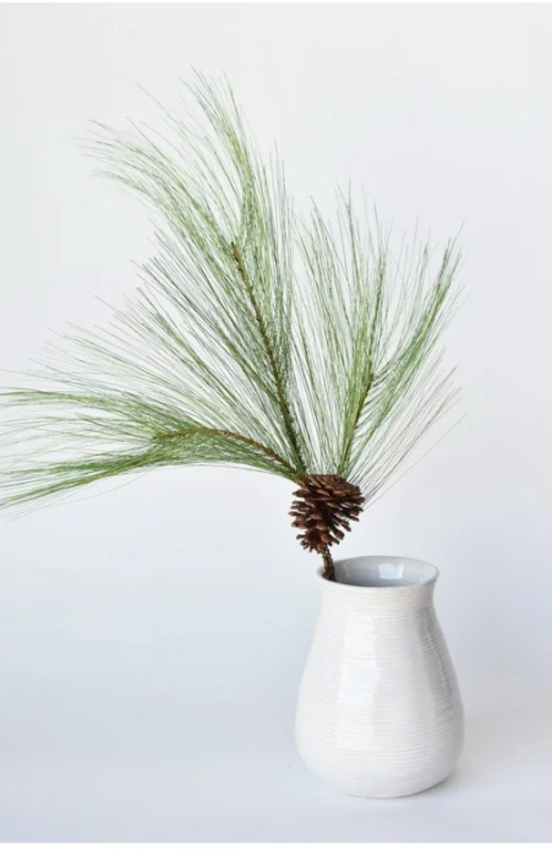 Long Needle Pine 