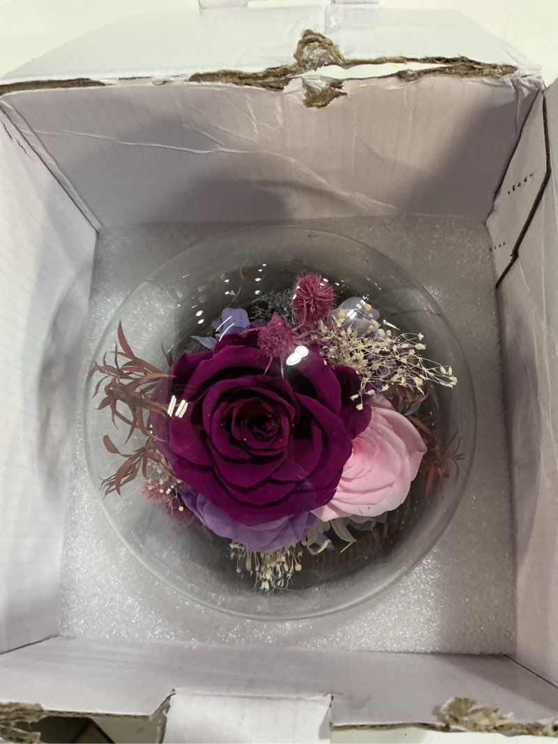 Condition photo showing Good Condition for fiaco mothers day flowers gifts for mom flowers for delivery prime birthday gifts for women grandma gifts forever preserved fresh eternal rose in glass dome for girlfriend wife her a-purple