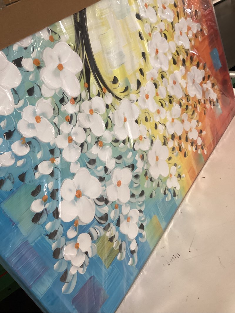 Condition photo showing New/Like New for YaSheng Art -3D handmade paintings textured wall art Oil Painting On Canvas white Flowers Paintings Modern Home living room Wall Art Abstract canvas art picture Ready to hang 30x30inch